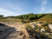 40.000 m², Carragoso, Viseu, Viseu, Carragoso