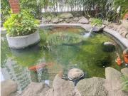 40 Área Útil Kitnet Alugar, 1 Dormitórios localizado em...