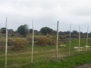 40.3 ha Land available in Melkbosstrand