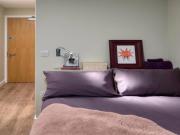 40 Bedroom Shared Living/roommate London London 90560529