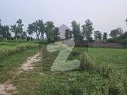 40 Kanal Agricultural Land For Sale Bedian Road
