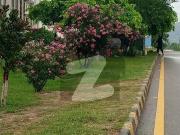 40x80 Plot Available For Sale In B 17 Block E