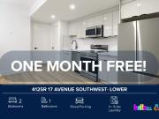 4100 17 Avenue Southwest 8 Plex Calgary 4125R/ Lower