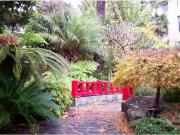 41/1 Amherst Street, Cammeray Apartment for rent Listed...