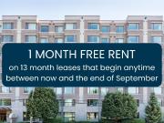 411 North River Rd. 1 Bedroom [object Promise] for Rent