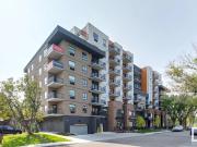 #412 11009 109a AV NW