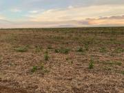 412 HECTARES EM ARAXÁ, 1.250 DE ALTITUDE