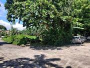 419sqm Lot for Sale in United Paranaque Subdivision 5...