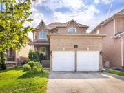 41 CEDAR SPRINGS DRIVE