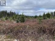 41 Old Cart Road, South River, NL, A0A 3W0 vacant land...