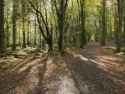 41 The Spires, Ballina, Mayo CK Properties & Auctioneers...