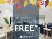 4222 Bathurst Street