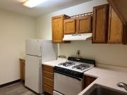 4233 Nicollet Ave S 1 Bedroom Apartment for Rent at 4233...