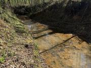 4286 Sheep Ranch Rd, Louisville, MS 39339