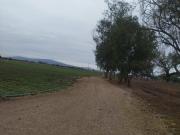 Rancho en venta en Ejido Lo de Juárez, Irapuato, Guanajuato