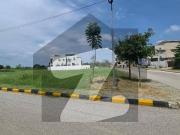 42 Marla Corner Plot Available For Sale In DHA Phase 3...