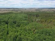 43.23 Acres Of Land In Northern Ontario Bordering Crown...