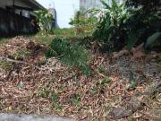 443 sqm Vacant lot in Capitol Homes, QC