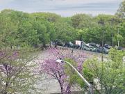 446 West 167th Street, New York, NY
