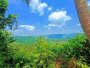 450 sqm Lot For Sale in Alta Vista Pardo Cebu City