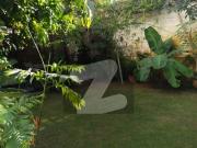 450 Yards Fully Furnished Bungalow Available For Rent...