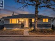 4520 Greenview Drive Ne, Calgary, AB, T2E 5R6 house for...
