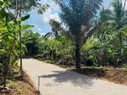 459sqm TITLED LOT FOR SALE in ALFONSO CAVITE, up to 3...