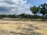 45,000 sqm Lot for Sale at Cebu City