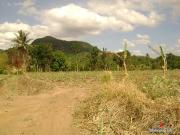 45 ha. BEACHFRONT farm NASUGBU, Batangas, PHILIPPINES