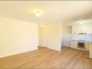 Great Size & Affordable