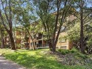 46/392 Jones Street, Ultimo NSW 2007