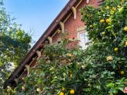 4665 N Figueroa Street