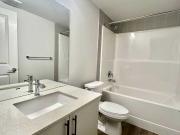 4681 177 Avenue NW Lower 2 Bedroom Apartment for Rent at...