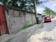 469 sqm Cheap Lot for Sale in Rainbow Vill 5, Deparo,...