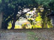 475 sqm Residential Lot for sale at Ayala Alabang,...