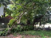 475/sqm Lot for Sale in Muntinlupa City, Metro Manila at...