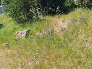 477 m² Land available in Brackenfell Central