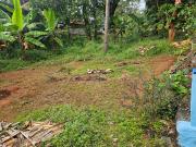 4791 Sq.Ft. Plot in Punkunnam Thrissur Listing ID #8904