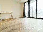 47 Mutual Street #808