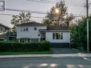 47 Portugal Cove Road, St. John'S, NL, A1B 2M1 house...