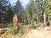 4801 COYOTEVILLE CIR, FIDDLETOWN, CA 95629