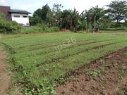 480 m2 lot in Springville Heights, Molino 7, Bacoor City