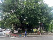 481.4sqm Prime Income Generating Commercial Corner Lot...