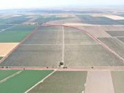 48450 W SUTTER RD, CLARKSBURG, CA 95612