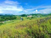 486 sqm Lot in Priveya Hills Pit os Cebu City