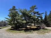 492 Crandall Road, Port Hawkesbury, NS, B9A 1W9 vacant land.