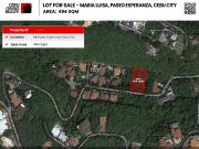 493 SqM Flat Corner Lot for Sale in Maria Luisa Park