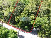 493 sqm Maria Luisa Residential Lot For Sale in Banilad,... 493 sqm Maria Luisa Residential Lot For Sale in Banilad,...