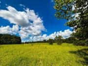 496 County Road 496 Lot 4, Lexington, AL 35648