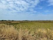 4972 Sq.Ft. Plot in Panvel Navi Mumbai